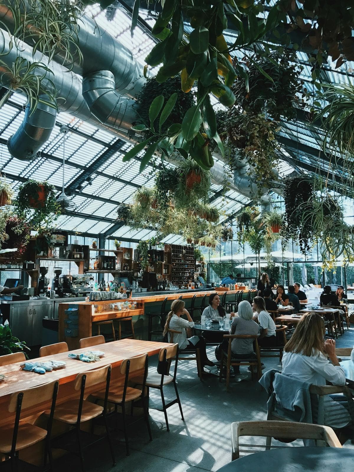 Bright, plant-filled café with a glass roof