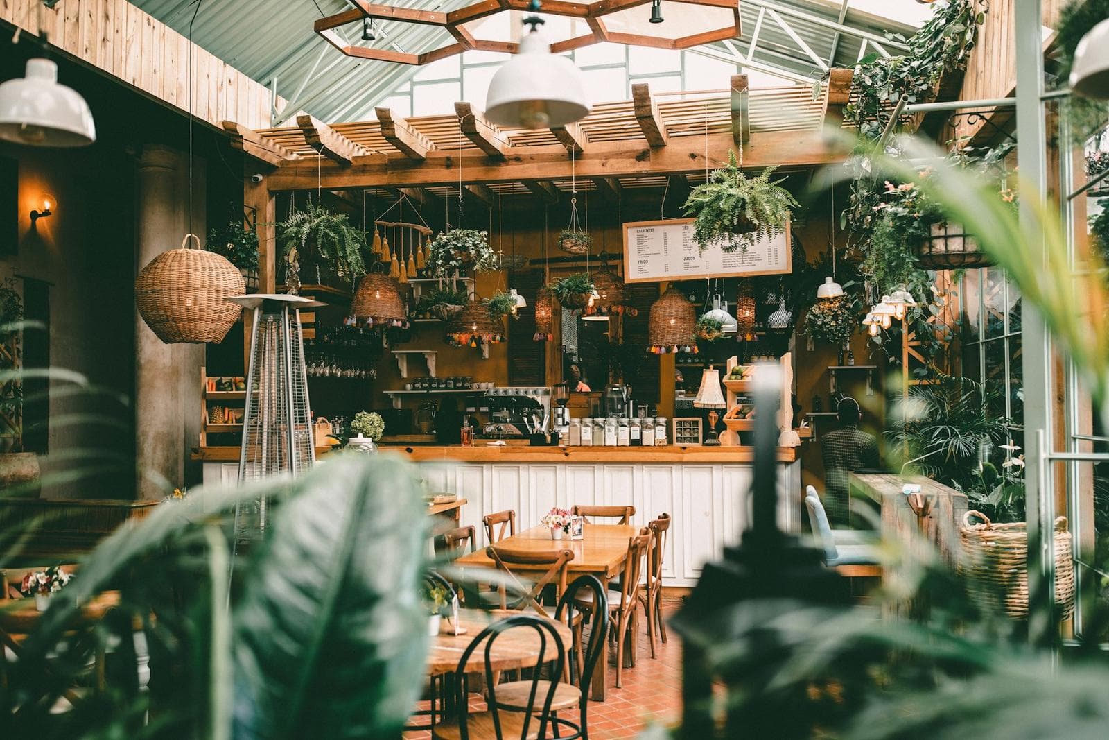 Warm café interior with wooden furniture and hanging plants
