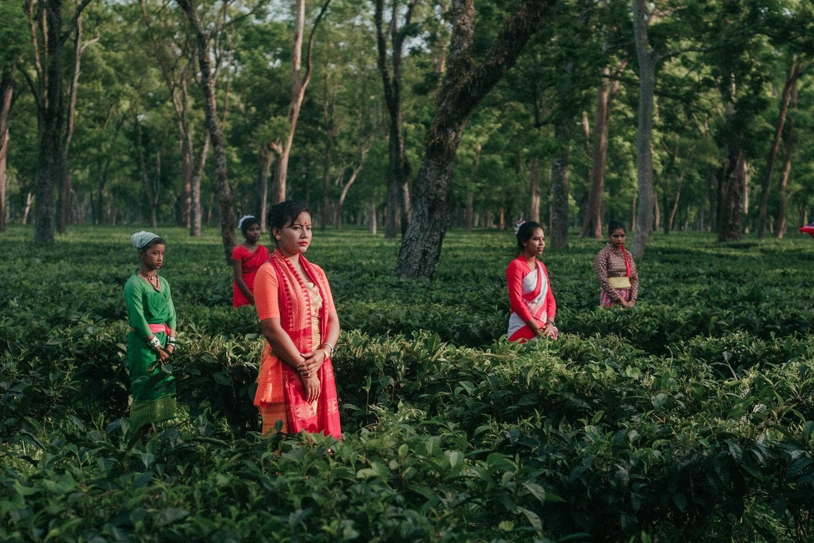 Women walking through a green coffee estate